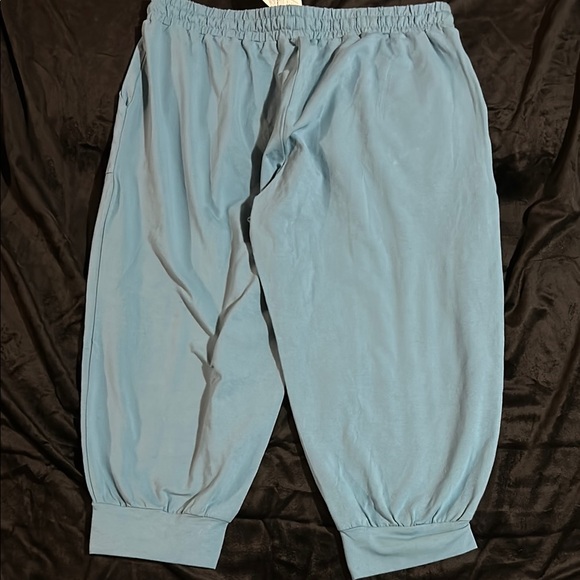 Blue Jogger capris - Picture 3 of 3
